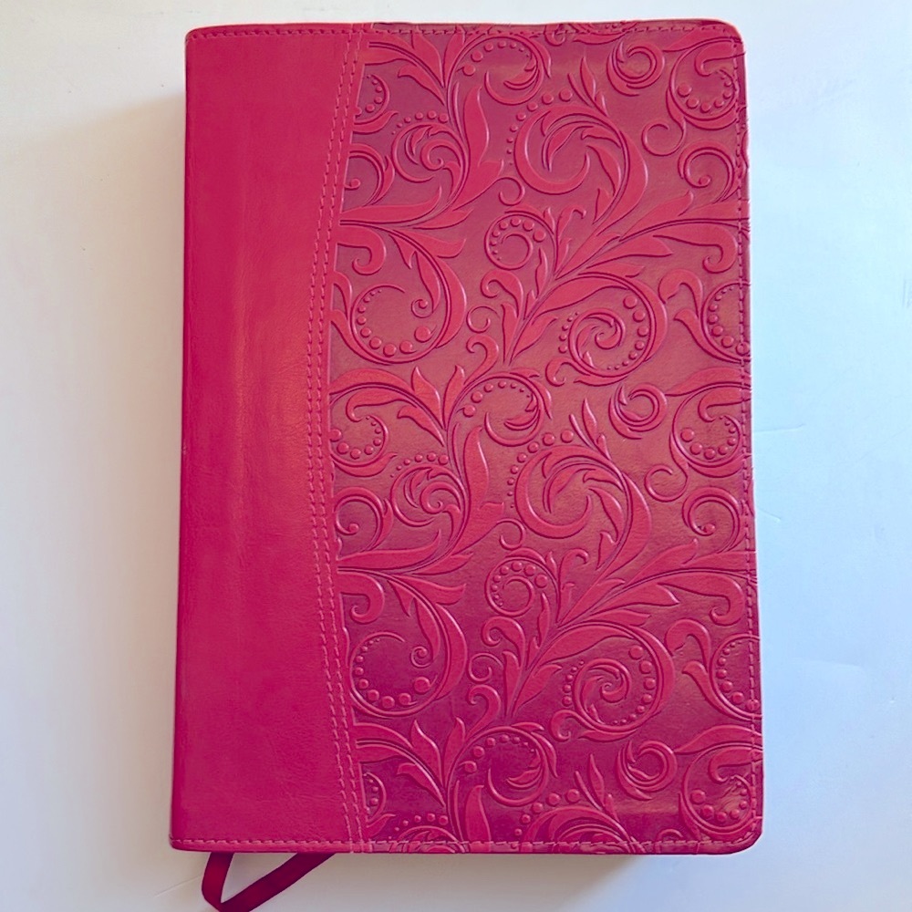 Quest Study Bible NIV EUC Pink Salmon